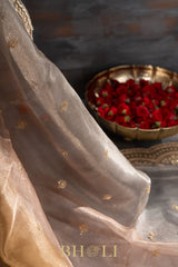 aari zardosi tissue hand-crafted silk dual shaded saree