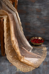 aari zardosi tissue hand-crafted silk dual shaded saree