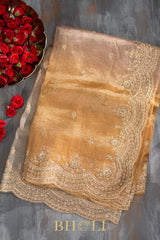 aari zardosi tissue hand-crafted silk dual shaded saree