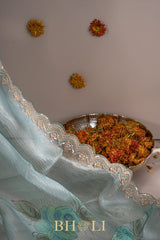 hand painted crushed organza hand embroidered saree