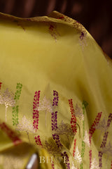 handwoven full kaduwa pure katan silk banarasi