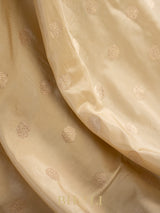 handwoven pure katan silk kaduwa buta off white royal banarasi