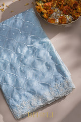 ice blue hand-crafted sequin and cutdaana work organza saree