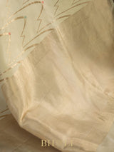 light green pure katan silk kaduwa banarasi