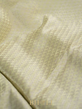 modern classic light green brocade katan silk banarasi