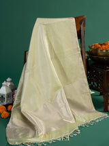 modern classic light green brocade katan silk banarasi