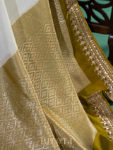 tussar georgette hand embroidered banarasi