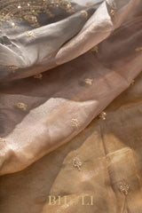 aari zardosi tissue hand-crafted silk dual shaded saree