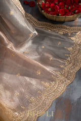 aari zardosi tissue hand-crafted silk dual shaded saree