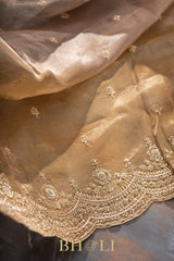 aari zardosi tissue hand-crafted silk dual shaded saree