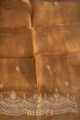 aari zardosi tissue hand-crafted silk dual shaded saree