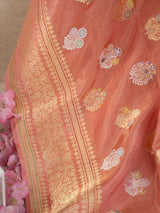 handwoven coral tissue silk kaduwa butas banarasi