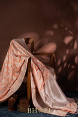 handwoven mashru gaji kaduwa jungla silver zari banarasi