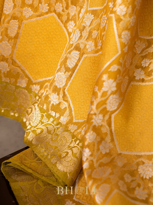 handwoven pure kora silk banarasi in conceptual jaal