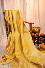 handwoven tanchoi mashru silk banarasi