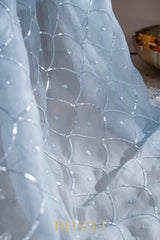 ice blue hand-crafted sequin and cutdaana work organza saree