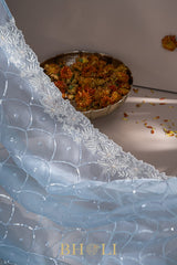 ice blue hand-crafted sequin and cutdaana work organza saree