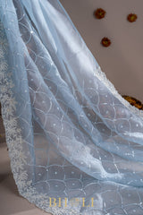 ice blue hand-crafted sequin and cutdaana work organza saree