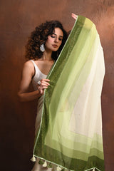 Sareeblouse053