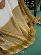 tussar georgette hand embroidered banarasi