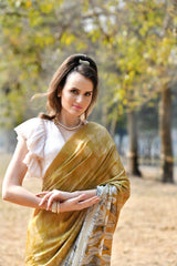 Pure Satin Modern Digitally Printed saree